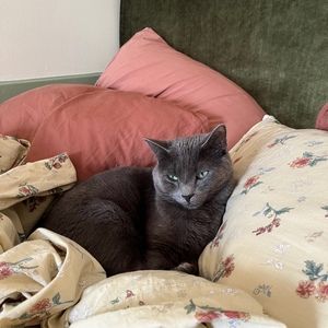 Meet your Posher, Max